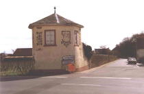 Laube
