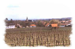 Ort